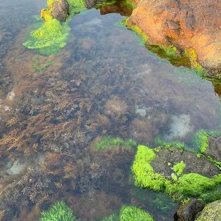 апартаменти-студия в комплекс нестинарка Carevo