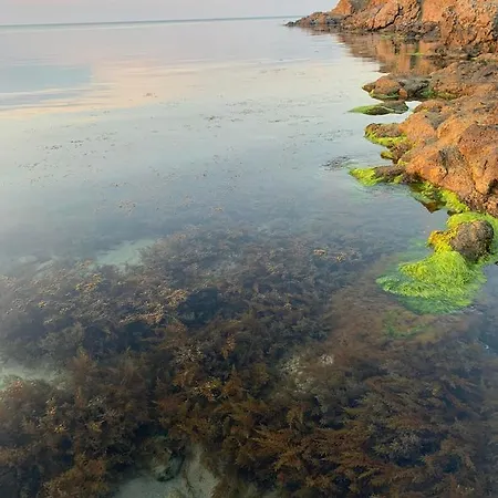 апартаменти-студия в комплекс нестинарка Apartmán Carevo