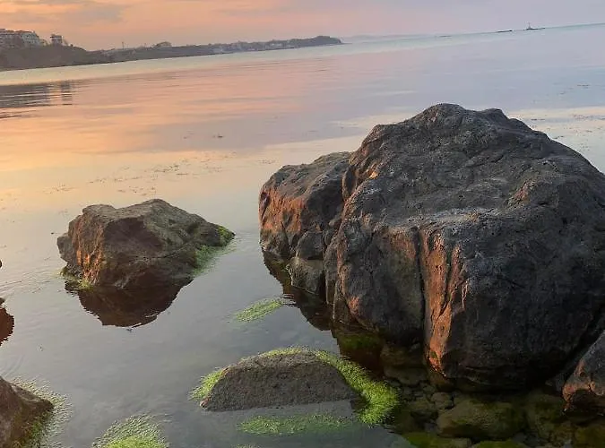 Apartmán апартаменти-студия в комплекс нестинарка