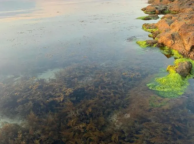 апартаменти-студия в комплекс нестинарка Apartmán Carevo